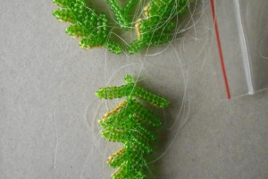 200695-original.jpg