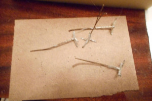 200710-original.jpg