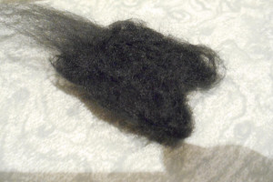 200536-original.jpg