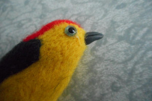 200541-original.jpg