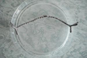 200546-original.jpg