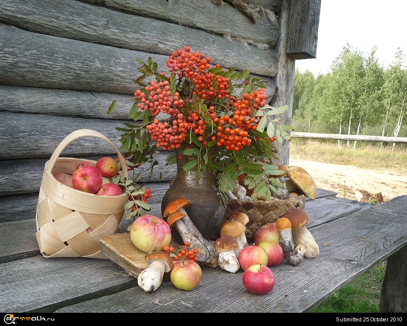 Конец августа сентябрь. Рябина в деревне. Природа август деревня. Деревенский урожай. Август в деревне.