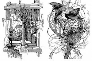 Иллюстрации к книге Наталі Баклай "Отава" (разделы 1,5)