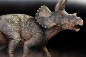 Triceratops Horridus