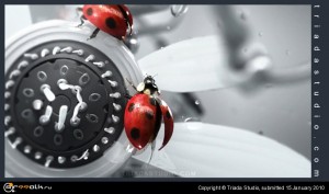 Ideal Ladybugs