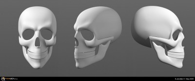 skulls001.jpg