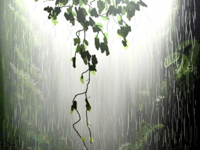 Rain_Forest_Tropic 2_resize.jpg