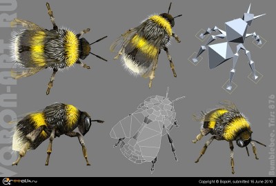 Bumblebee01_.jpg