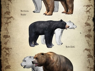 Bears(small).jpg