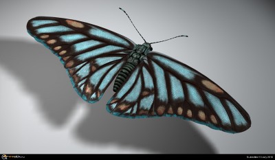 Butterfly_MC_2.jpg