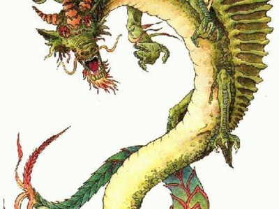 chinese-dragon-green-23-large.jpg