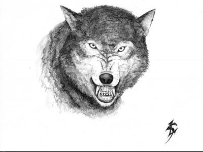 wolf(new)2.jpg