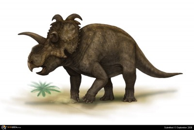Albertaceratops_nesmoi.jpg