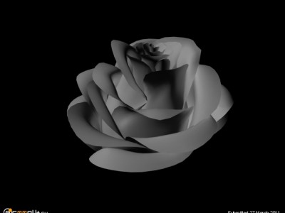 rose4_1.jpg