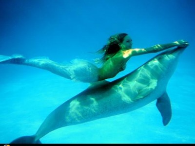 Ht_hannah_fraser_mermaid_dolphin_2_bob_armstrong_100529_ssh.jpg