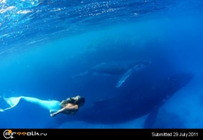 14.Hannah-Fraser_With-Whales-in-Tonga-2007.jpg