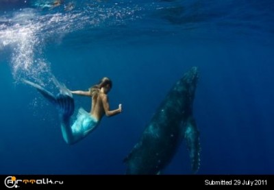 13.Hannah-Fraser_With-Whales-in-Tonga-2007-4.jpg