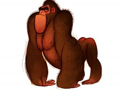 ape[5].jpg