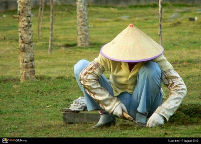 chinese-gardener.jpg