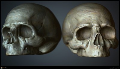 skull_part_01.jpg
