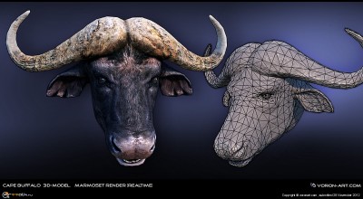 cape-buffalo_3d-model_marmoset03.jpg