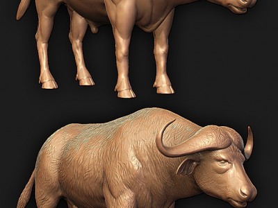 cape-buffalo_3d-model_zbr-sculpt01.jpg