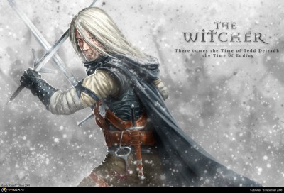 The_Witcher_by_OmeN2501.jpg