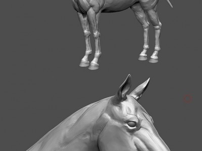 horse-3d-model-sculpting01.jpg