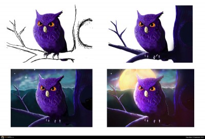 owl process.jpg