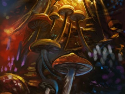 mushrooms2.jpg