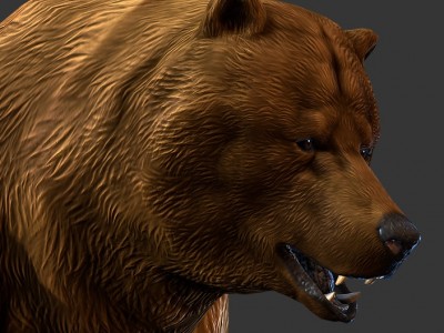brown-bear-grizzly-realtime-3d-model-04.jpg