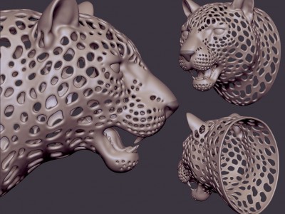 leopard-wire-01.jpg