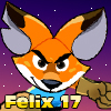 Felix 17