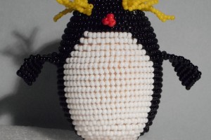Золотоволосый пингвин